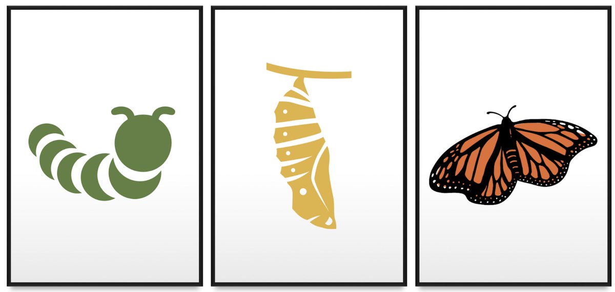 sophia_kidney's tweet photo. 1/ Nephrology has metamorphosed, a transformation catapulted by decreased trainee interest & rise in CKD and ESRD.
How do we redefine nephrology? We redefine our workforce.
Stick around for a glimpse into Nephrology reimagined (links included!)
#tweetorial #NephForward https://t.co/laPEiagH6o
