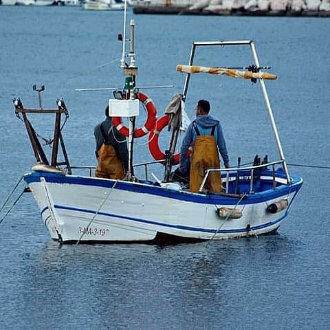 📍Faenando
#malagademisamores 💜💚💐💜💚
📸 @rogelialuke 👌💜💚
#Málaga #costadelsol #andalucía #spain