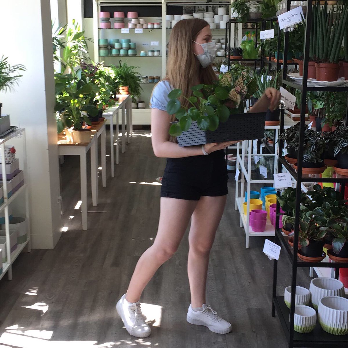 Tiny Greens Plant Shop tweet media