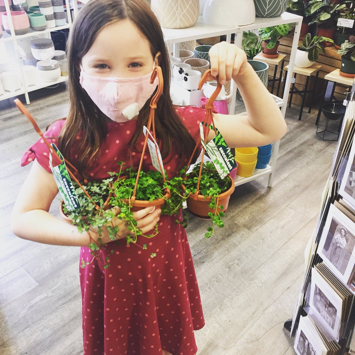 Tiny Greens Plant Shop tweet media
