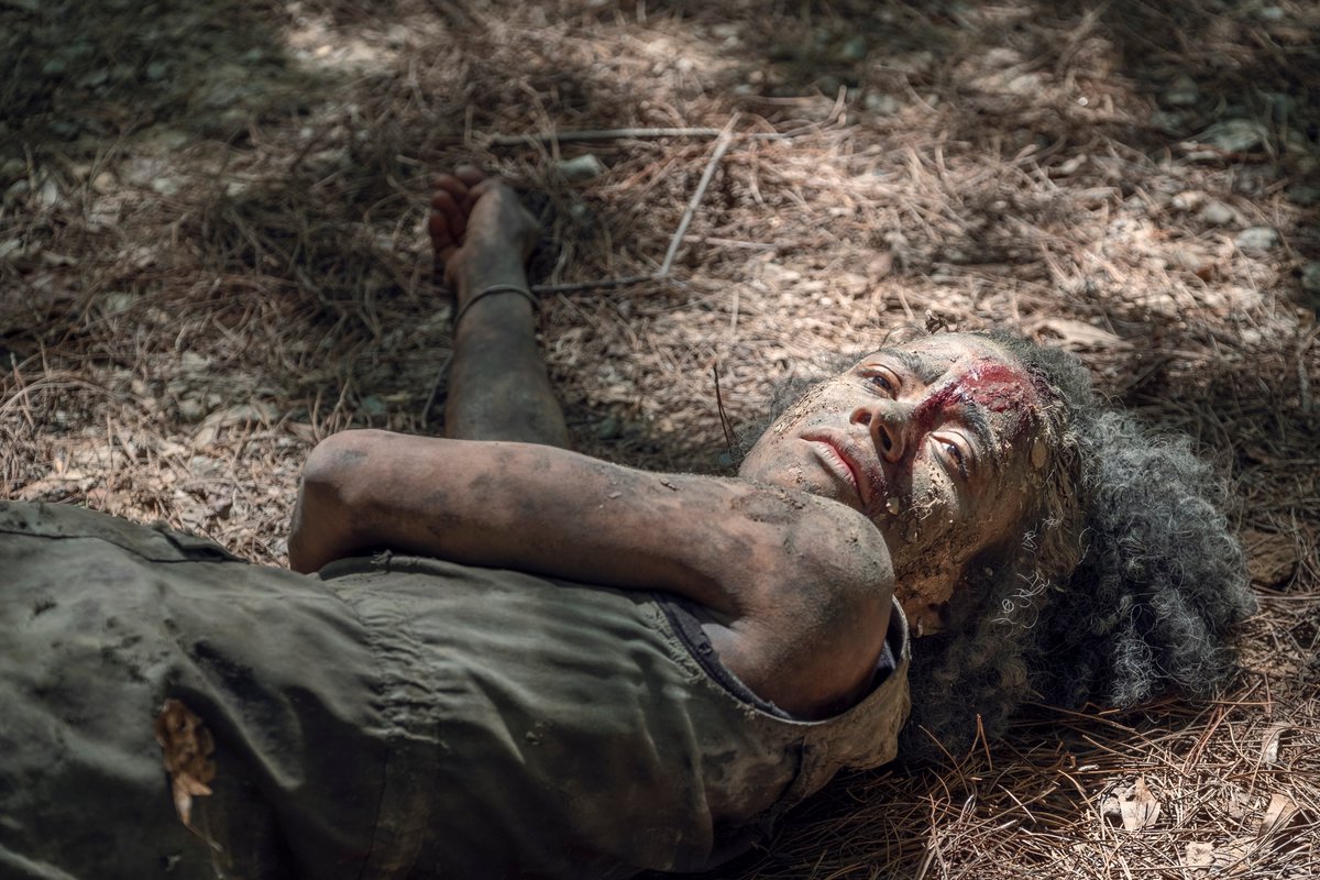 TheWalkingDead tweet picture