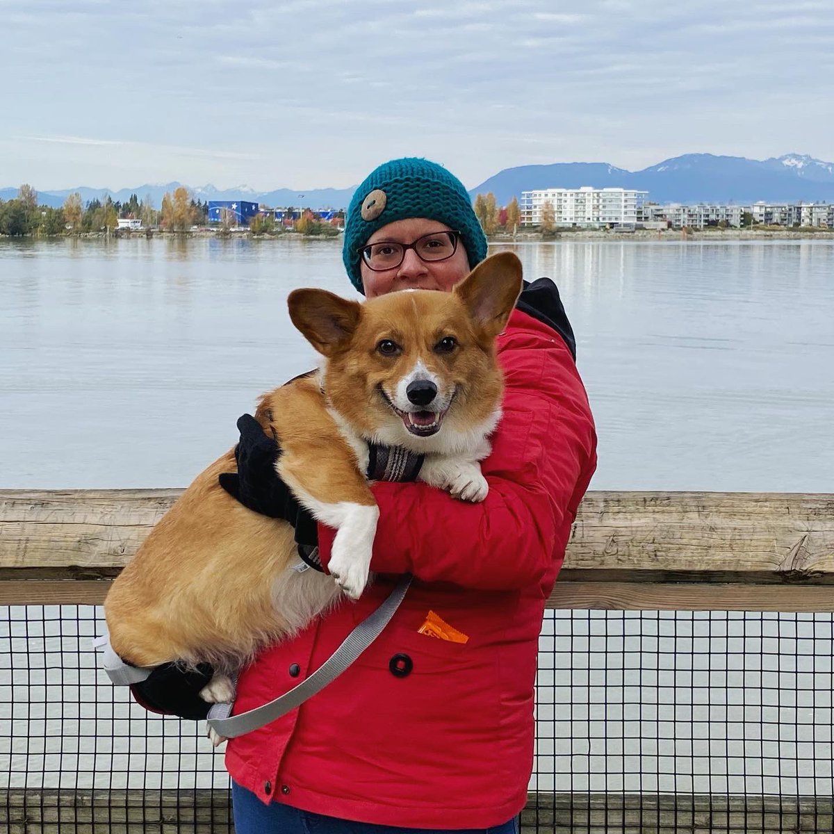 Oliver_TheCorgi's tweet image. This was from #Sunday we did a #FunWalk 😊 Corgidad took us on a #FunAdventure!😁
Ollie found a bunch of sticks to chew on, and found one buried in the sand (he enjoyed that one) 🤣
-
Have a wonderful #monday everyone and stay safe ❤️#corgilove #corgismile #fundaymonday