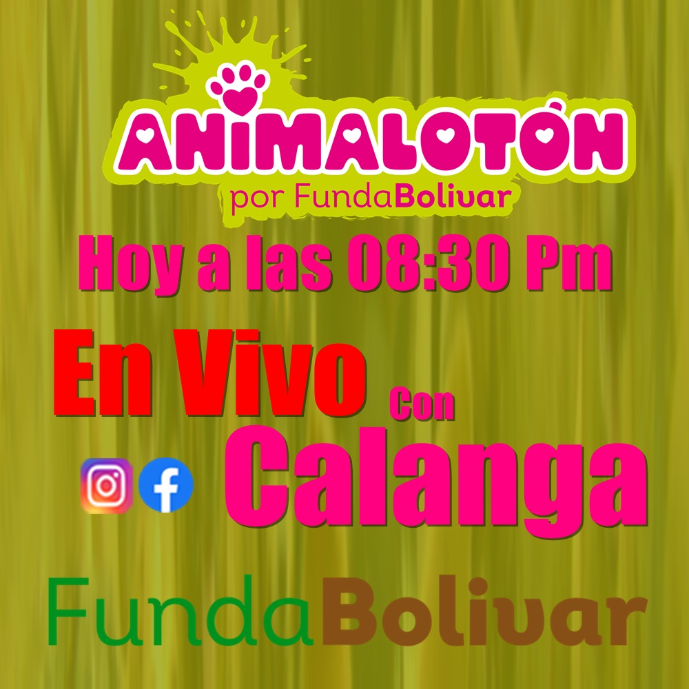 FundaBolivar_Ve's tweet photo. Hoy a las 08:30 de la noche hora #Vzla. #EnVivo con #Calanga https://t.co/mn80OnB0t6