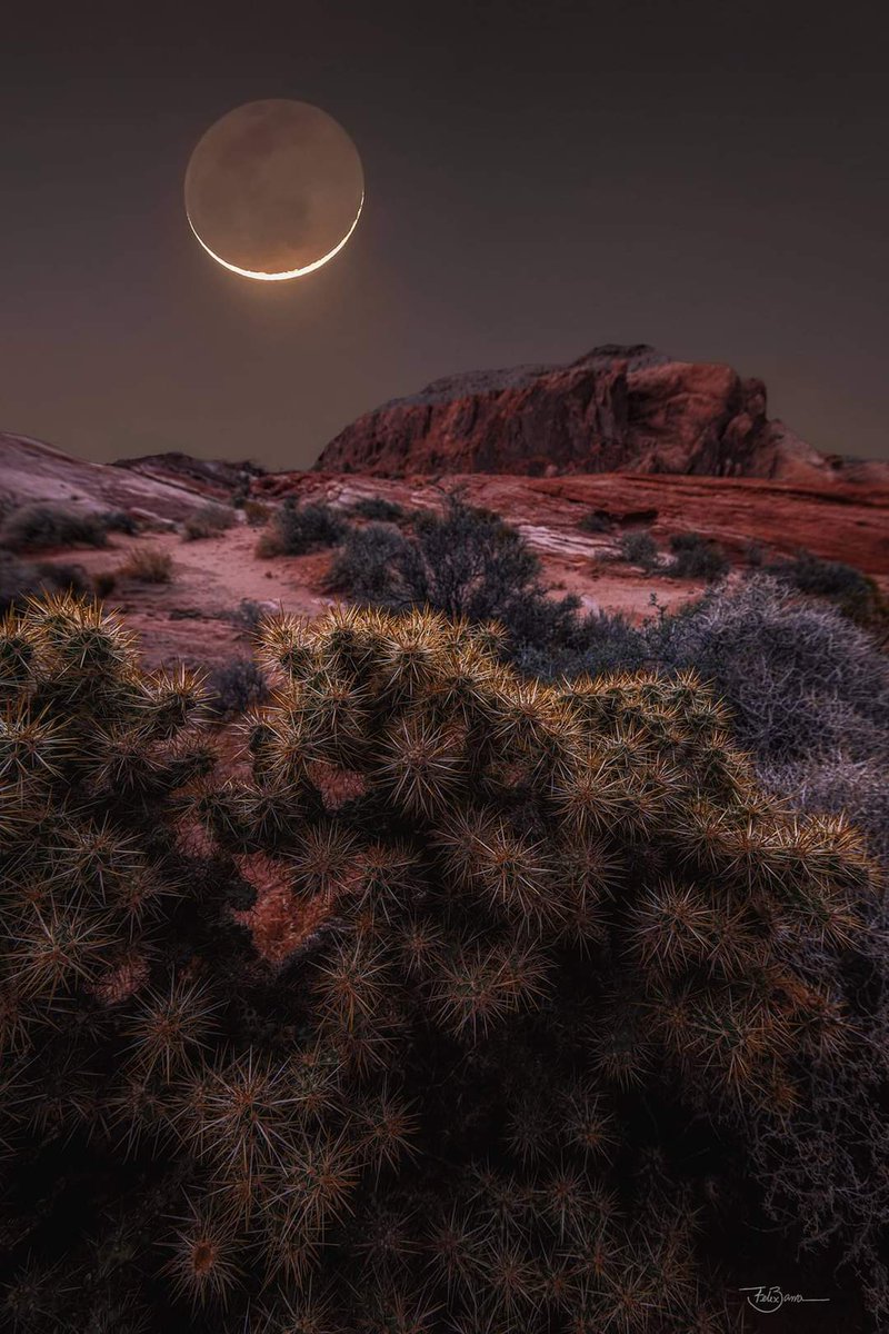 Luna
Crédito: Felix Barra
#astrophoto #astronomy https://t.co/zIpn66CPdl