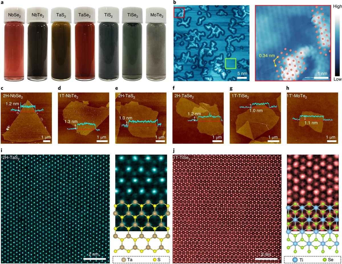 Jiong Lu tweet media