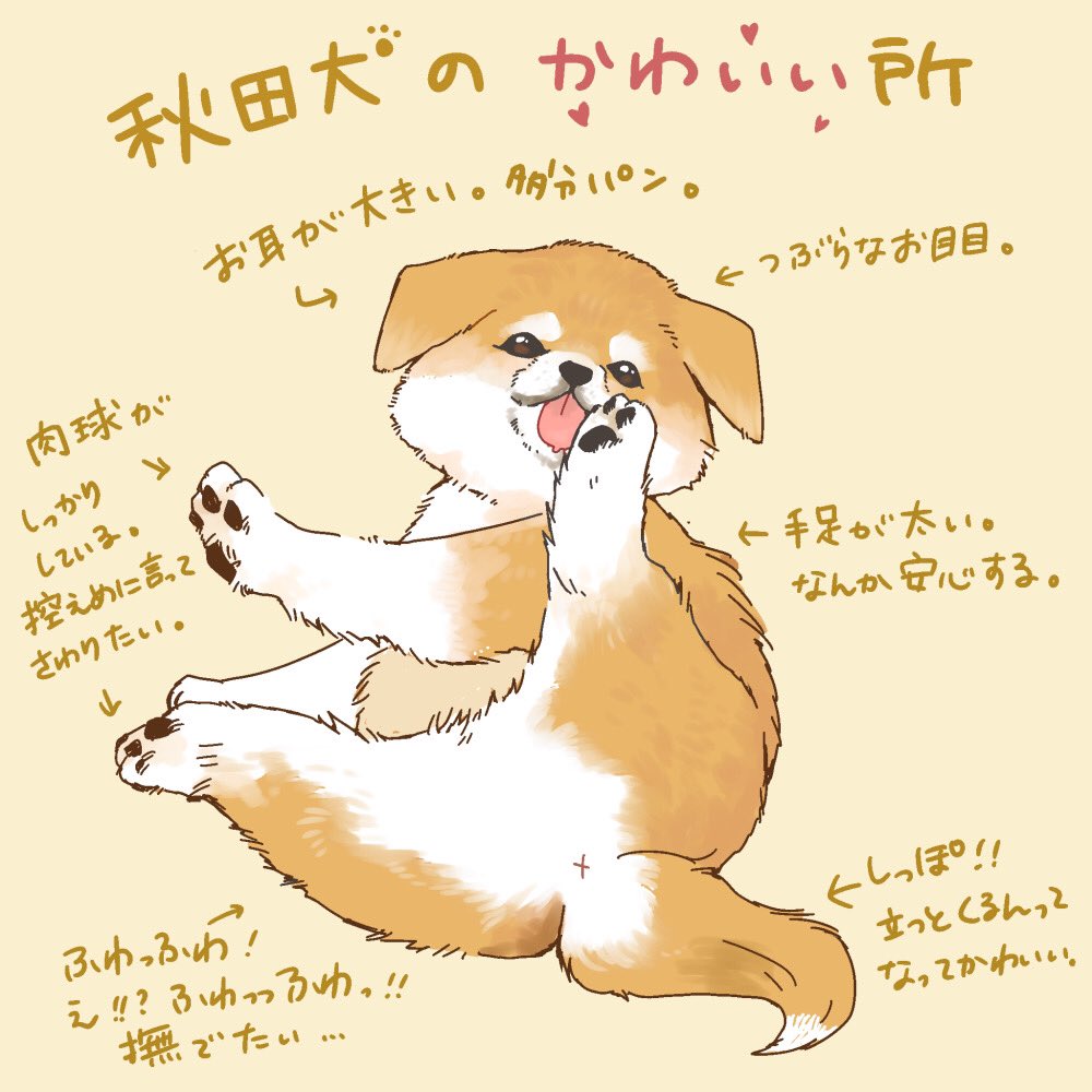 Twitter 上的 Iro Maki 恵 秋田犬が可愛すぎて描いてしまった 秋田犬保存会さん Akitainuho に出会ってから夫と 今日も可愛い 癒される と眺めるのが日課 仕事柄なかなか秋田県まで行けないけれど 落ち着いたら会いに行くのが楽しみ 秋田犬