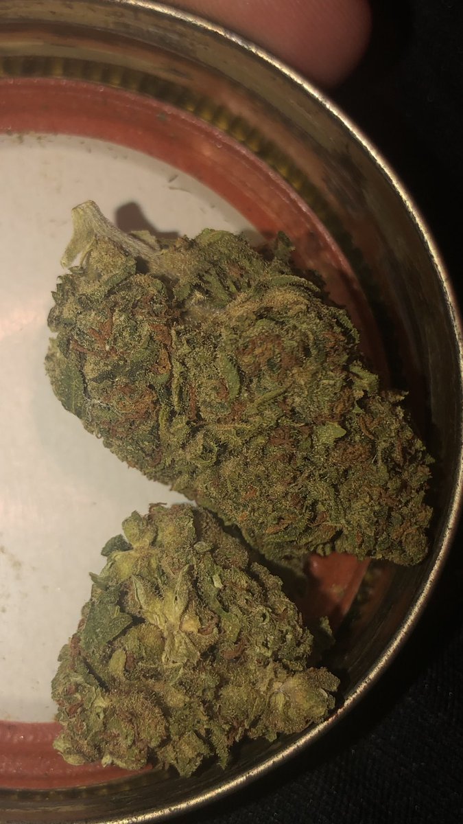 dirtybanger tweet media