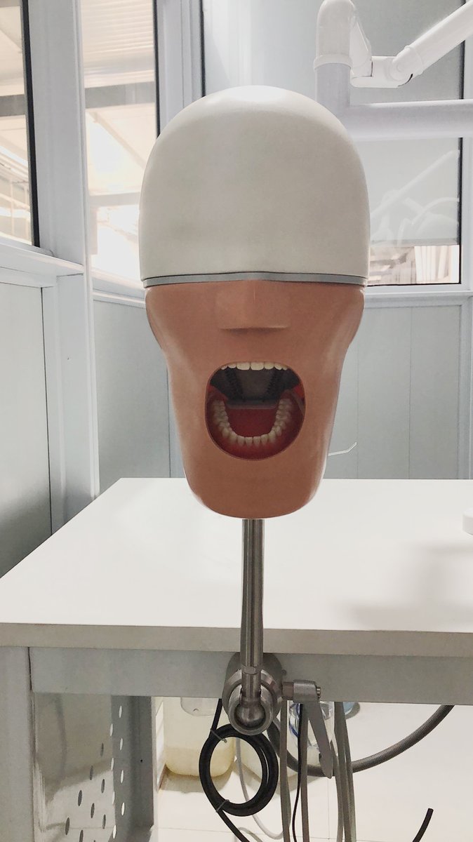 WendyZh26130456's tweet image. Head Model,Senior Manikin,the head support and clamp are stainless steel
#dental #dentalmodel #headmodel