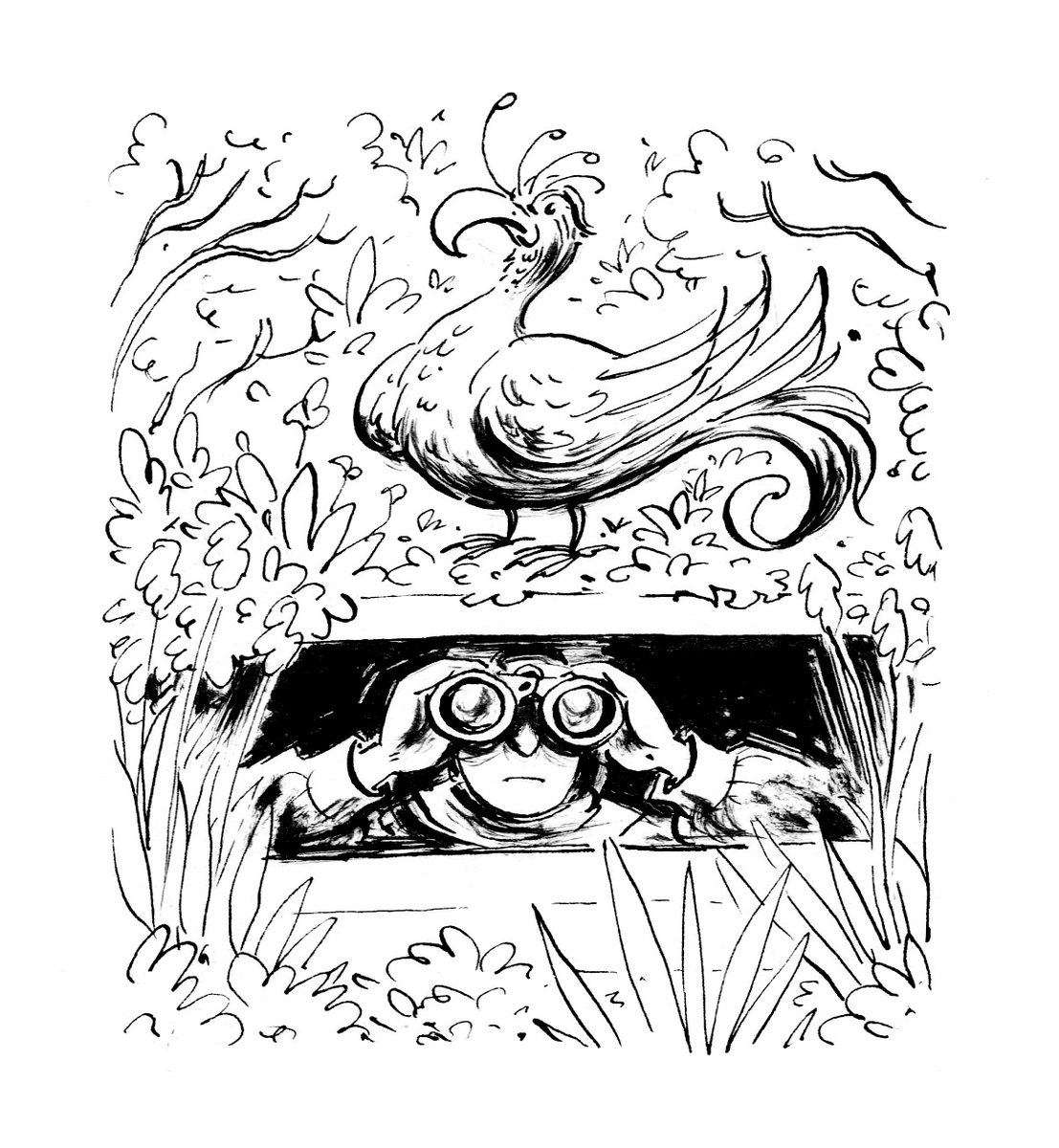 #inktober day 26: Hide.