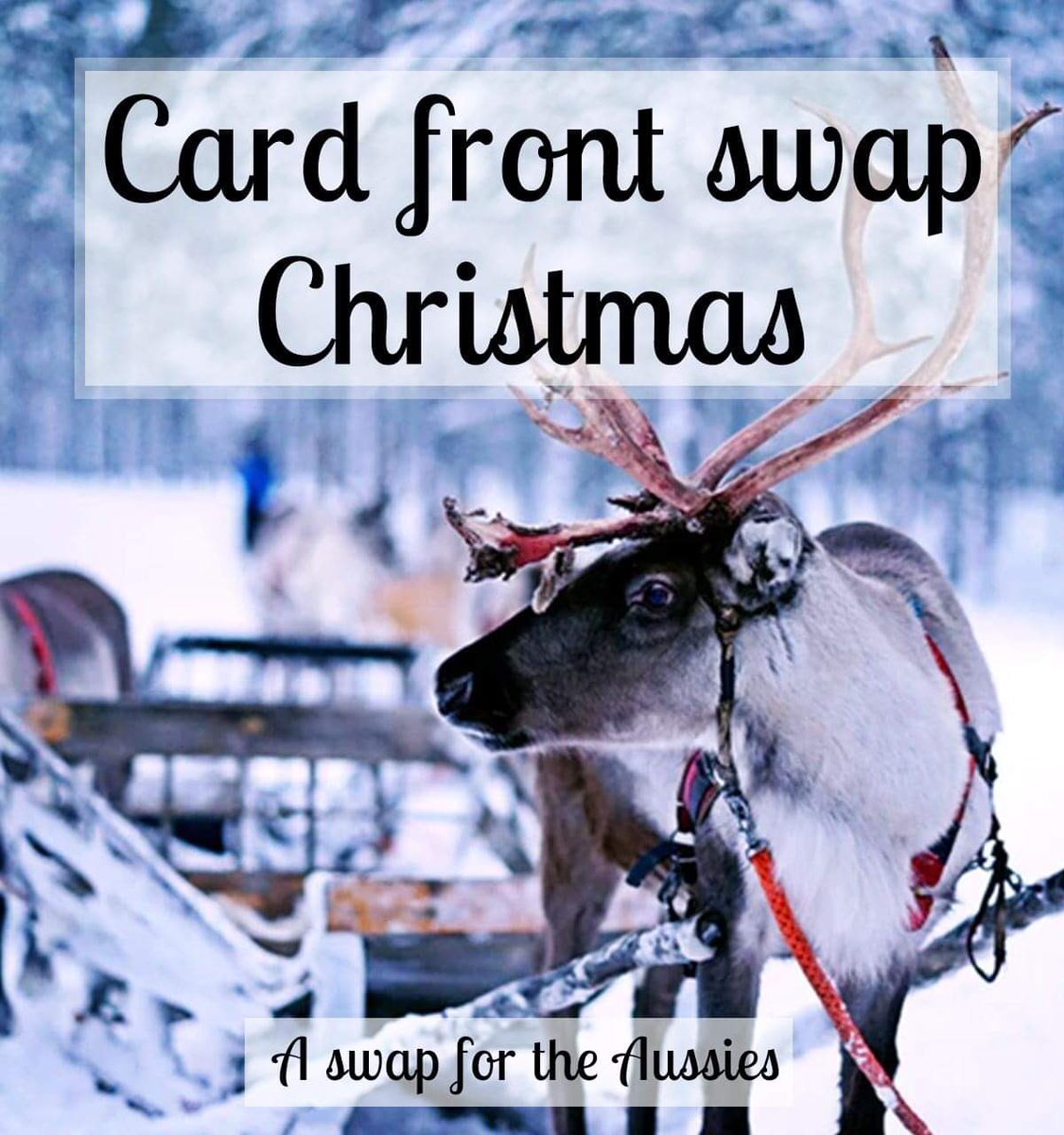 DawnLewis's tweet photo. Card swap for the Aussies open for signups now, due 27/11. Full details on my blog at https://t.co/LRFTDNqFQx https://t.co/fXgahw59aj