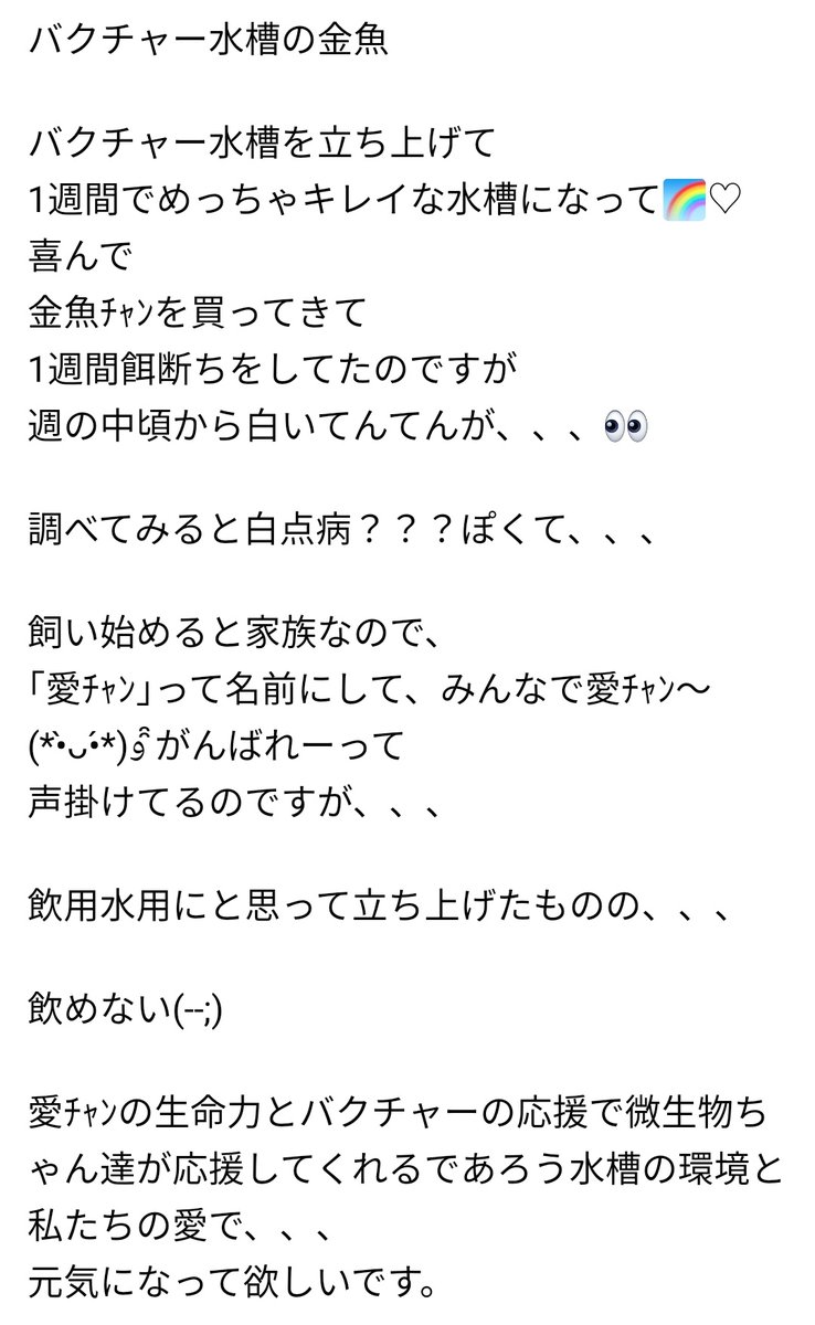 中乃井みあき Ipu信者 ほとんど水質を確認するためのパイロットフィッシュ扱いです これならただの水道水をカルキ抜き した水のほうが金魚のためにもずっとよかったのにe E E