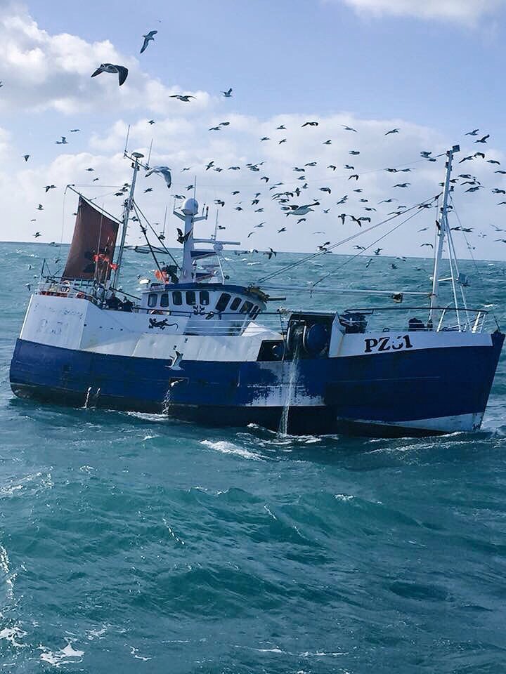 NewlynFishing's tweet photo. A Pair of the Ports #Ladram Sister’s ‘Charisma @charismapw45 & @GovenekOf Now landed @MSCintheUK #CornishHAKE + MixWt at #NewlynHbr for #Export to @Brixhamfishmkt TuesAuction! #CornishExport #EatMoreFish https://t.co/erftiJRX6c