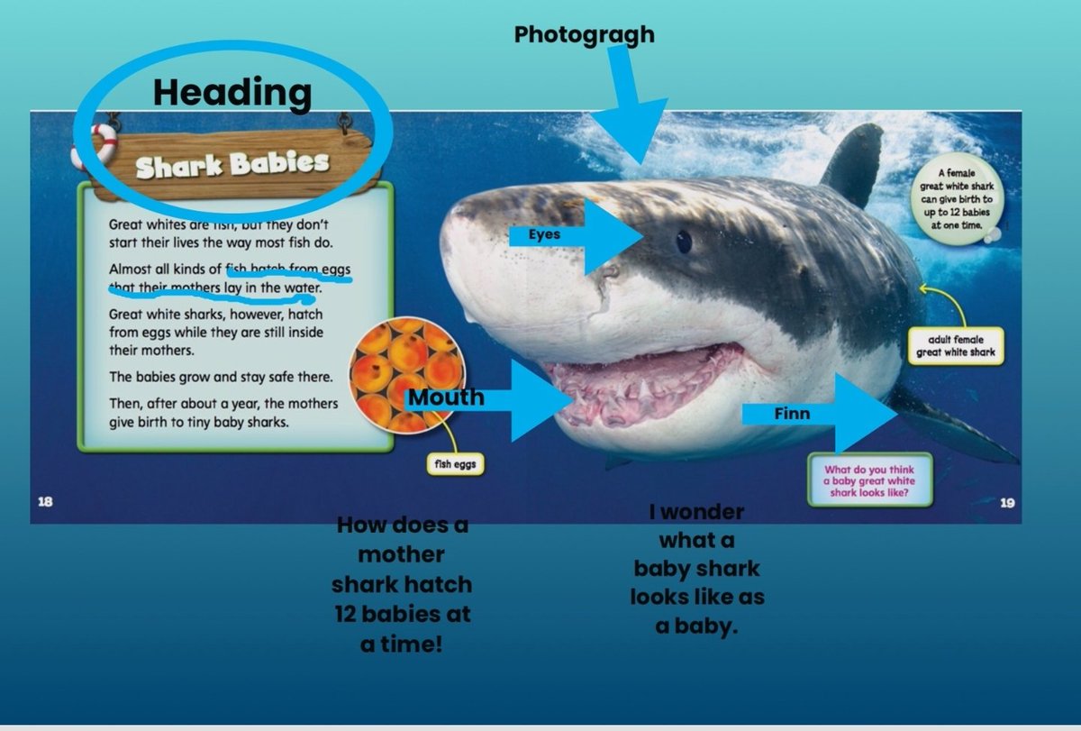 AHaldemanCV's tweet photo. Book Snaps are my NEW favorite thing! Annotating is fun and it gives me an idea of what they are reading independently at centers. @SPHBulldogs #booksnap https://t.co/XWPqSwPqTf
