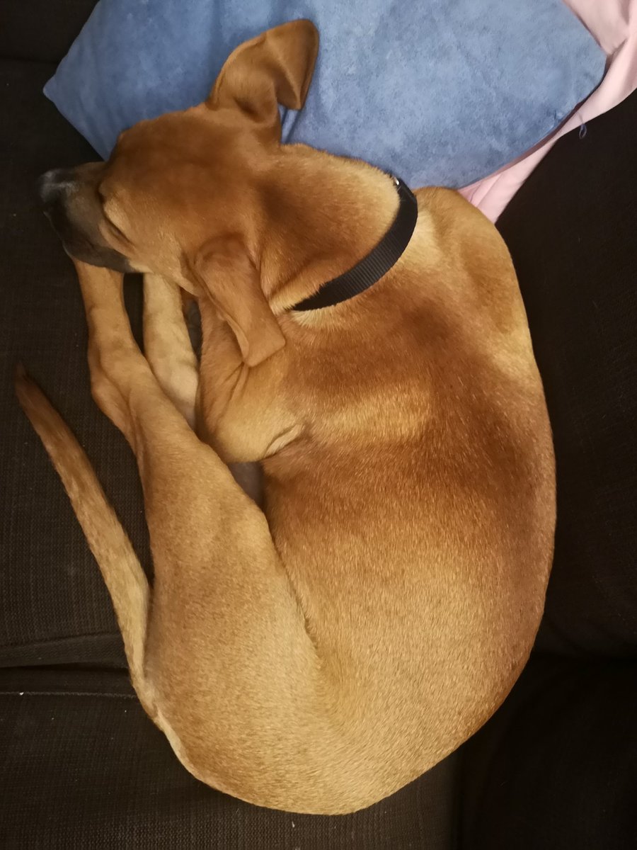 Berta M 🏴‍☠️ tweet media