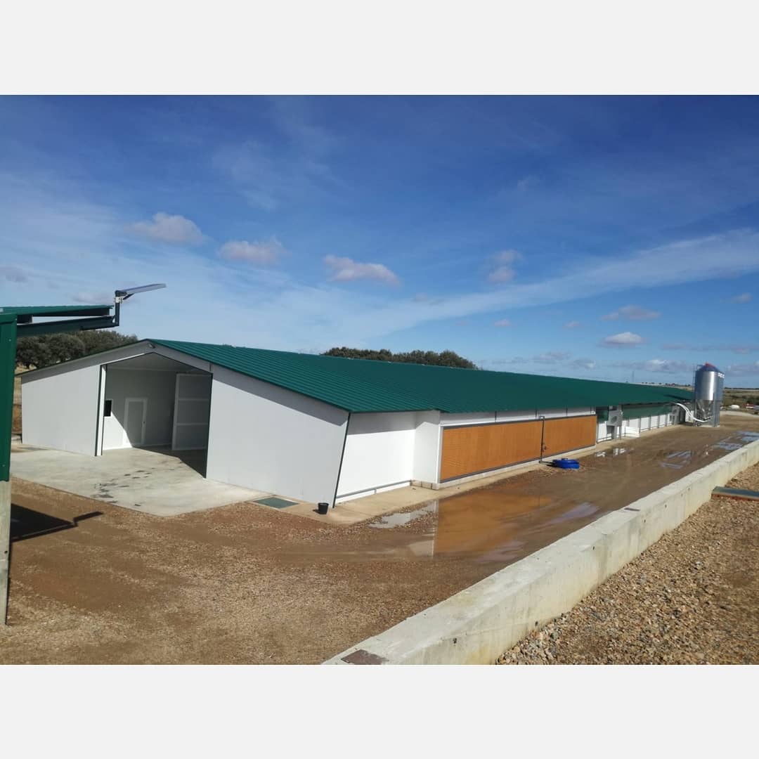 AntonioM_GG's tweet photo. Sigo bombardeando con obras finalizadas y entregadas. Aquí os dejo las fotos de la granja de Olivenza, Extremadura. Nave de 120x16 metros con ventilación combi-tunel y calefacción de combustión indirecta. Otro proyecto más a las espaldas. #MULTIAVICOLA #EXAFAN 🐥 🏡 💪 🔥 https://t.co/whihITrZpP