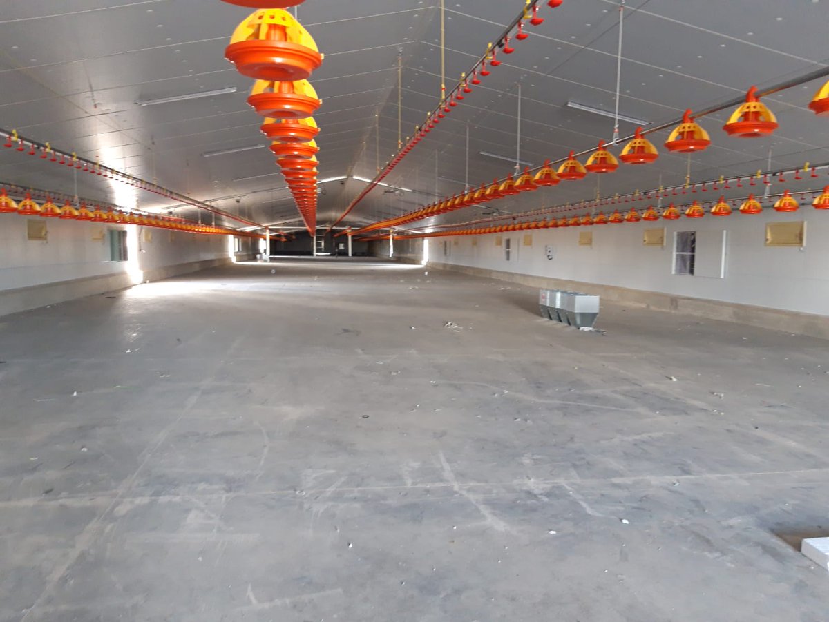 AntonioM_GG's tweet photo. Sigo bombardeando con obras finalizadas y entregadas. Aquí os dejo las fotos de la granja de Olivenza, Extremadura. Nave de 120x16 metros con ventilación combi-tunel y calefacción de combustión indirecta. Otro proyecto más a las espaldas. #MULTIAVICOLA #EXAFAN 🐥 🏡 💪 🔥 https://t.co/whihITrZpP