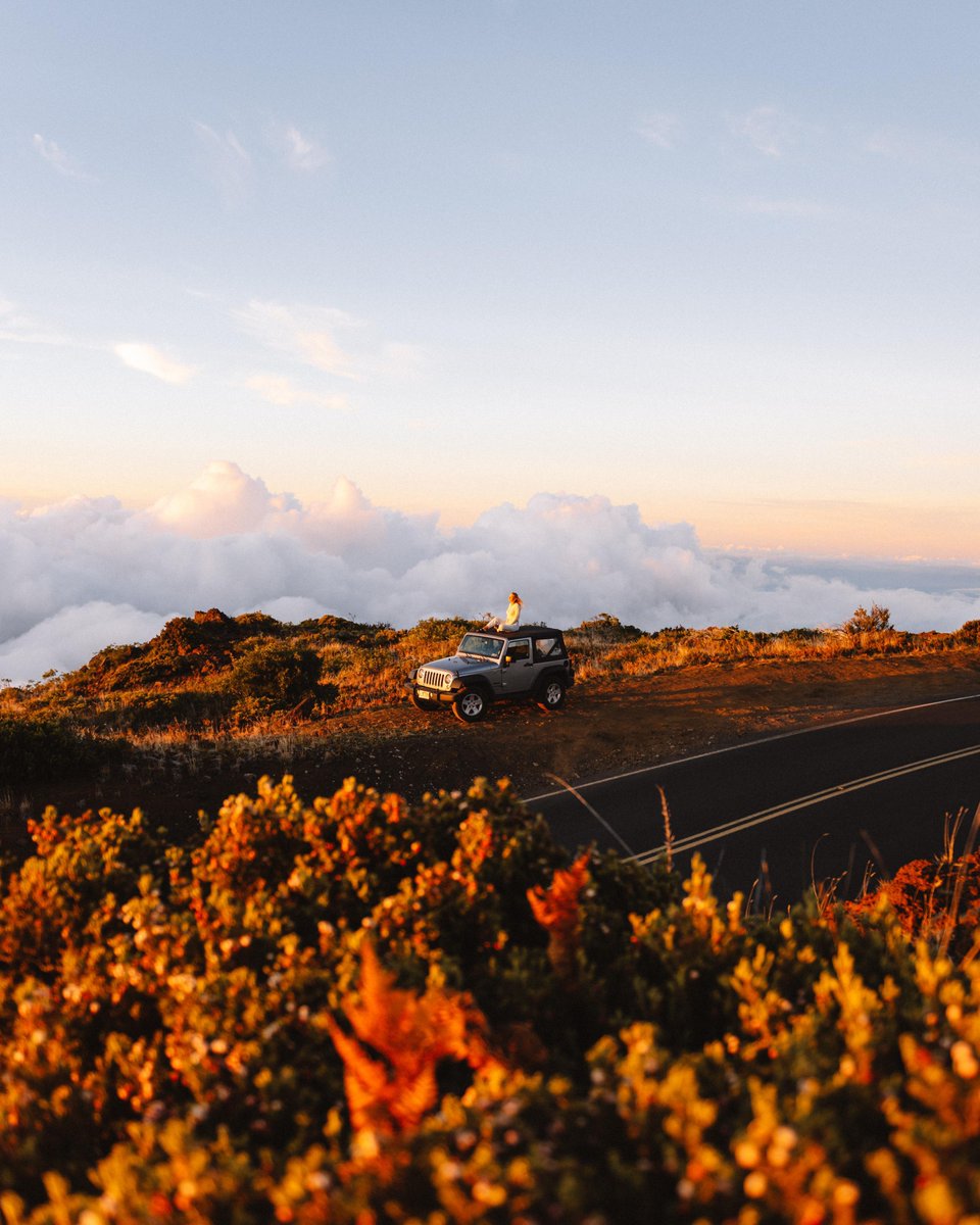 HawaiianAir's tweet image. Adventure on. 🚙

📷 @jordanwchin
#AlwaysGo #Hawaii