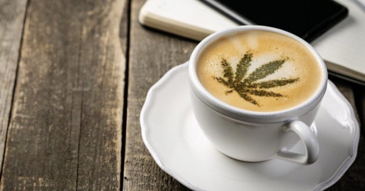 Now that looks like a cup of coffee we could use right about now 😏🌱☕️
#yyc #calgary #yycbased #supportlocal #localbusiness #cannabis #cannabiscommunity #letssmoke #edibles #CBD #coffeeandcannabis #THC