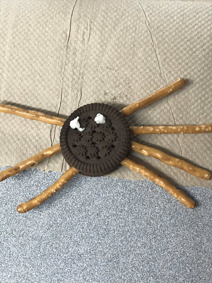 All186Am's tweet photo. Spider snack today  🕷 https://t.co/krLer6YAuM