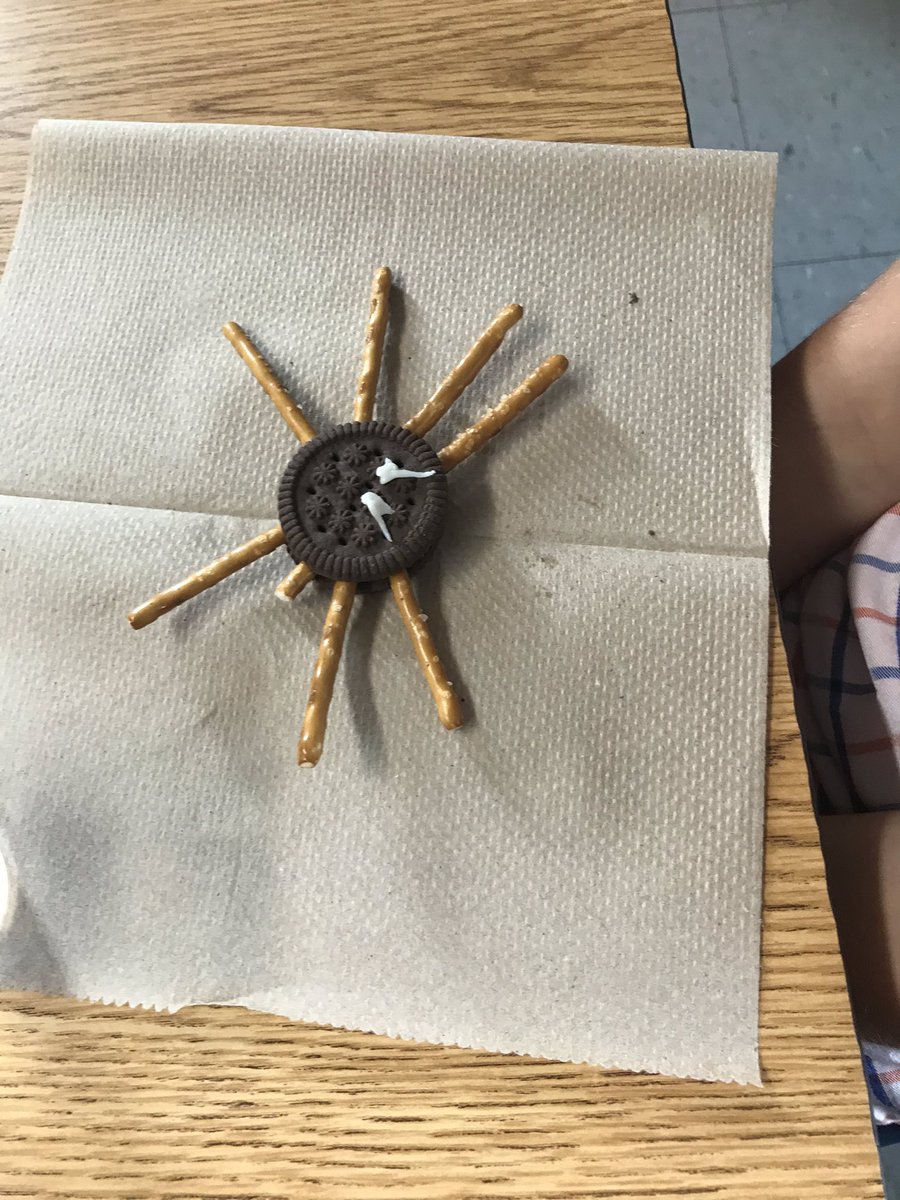 All186Am's tweet photo. Spider snack today  🕷 https://t.co/krLer6YAuM