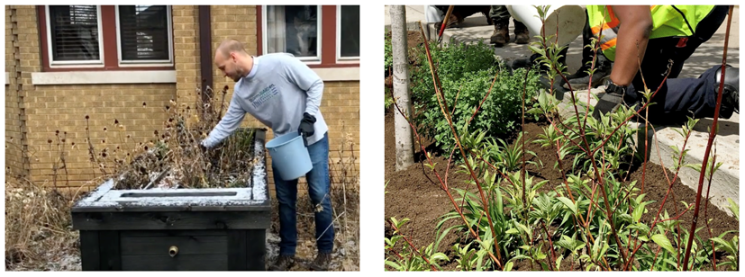 GREEN INFRASTRUCTURE &amp; STORMWATER MAINTENANCE

#StormGUARDen offers several green infrastructure and stormwater management #maintenance services and can help you meet your Storm Water Management Plan (#SWMP) certification process as well!

Email info@StormGUARDen.com for details!