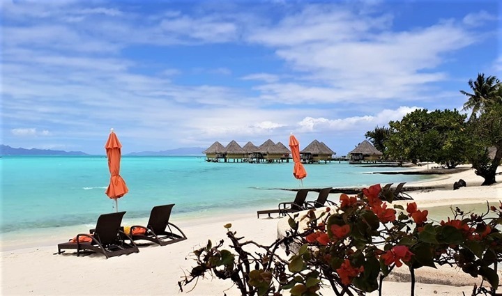 ICFr_Polynesia's tweet photo. Lying down on one of these deckchairs and taking the time to admire Bora Bora's azure lagoon sounds like a good plan for the day! What do you think?
📷 : Myriam Munier
https://t.co/4EhL8X79jo
#ICMoana #BoraBora #InterContinentalLife #paradise #resort #dream #travel #bestpl… https://t.co/e5jCBFOc5c