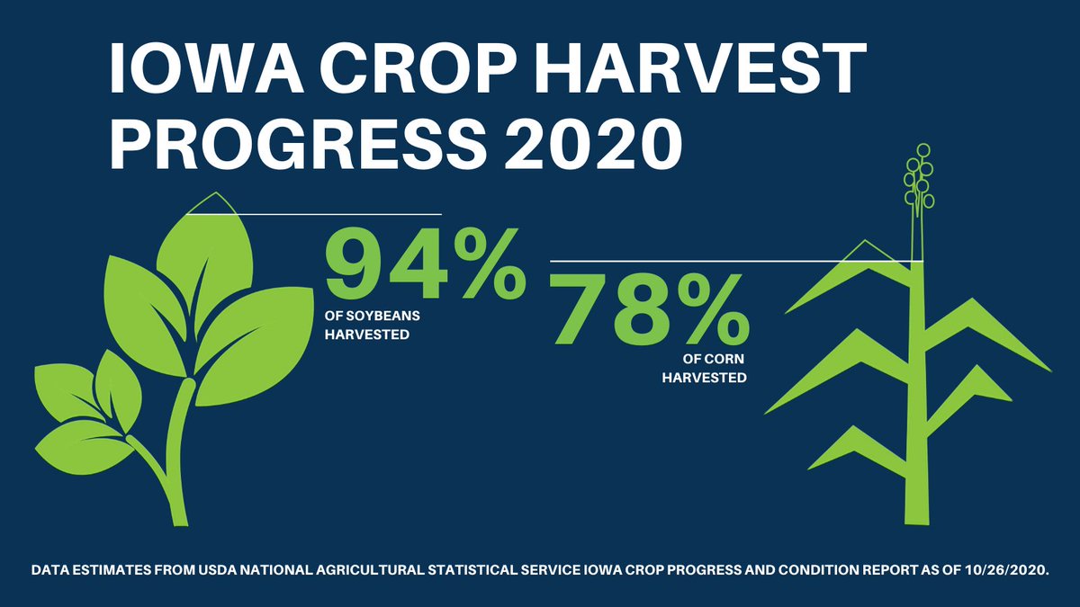 IADeptAg's tweet photo. Iowa Secretary of Agriculture @MikeNaigIA today commented on the Iowa Crop Progress and Condition report released by the USDA National Agricultural Statistics Service. Read the full release here: https://t.co/AxjfjlwITx #IowaAg https://t.co/XG5yC1kSDc