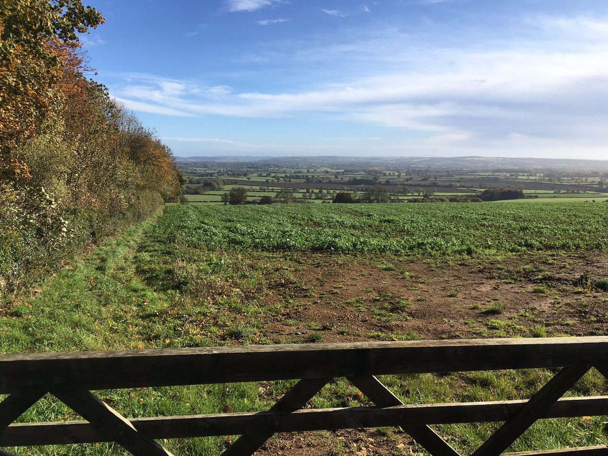 jane_fifield65's tweet photo. Glorious Cotswolds ;
My clear my head space - 🚴cycling https://t.co/UR9q48w8wY