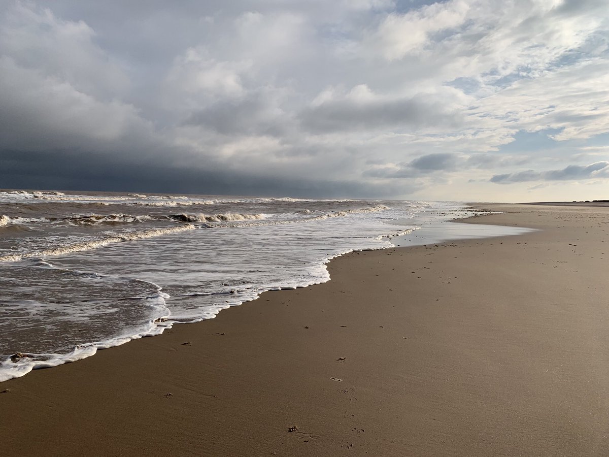 SkegnessLisa's tweet photo. Our strategic alliance with Boston opens up even greater tourism opportunities for us to package and develop and I can’t wait to start with the Wash and all it offers to visitors #birdwatching #naturalcoast #allyearround #nature #Boston #EastLindsey #theWash #Seals https://t.co/0K784mUKzf