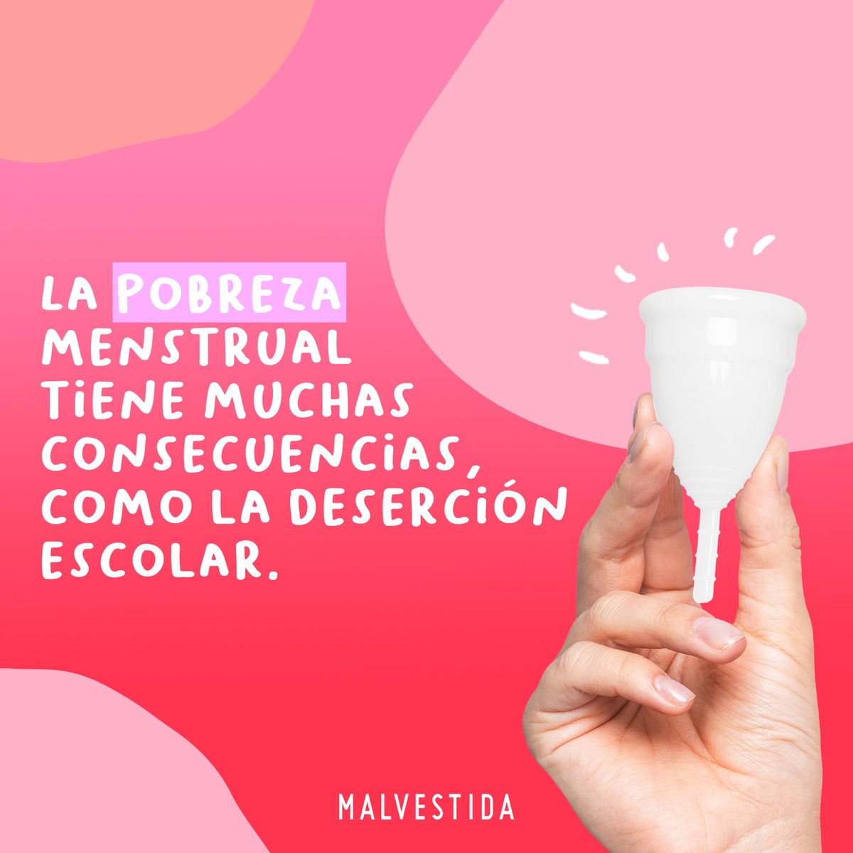 Malvestida tweet media