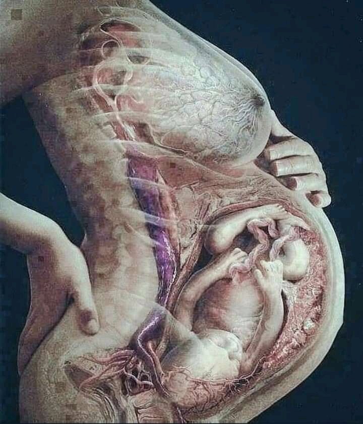 El Umash.© tweet media