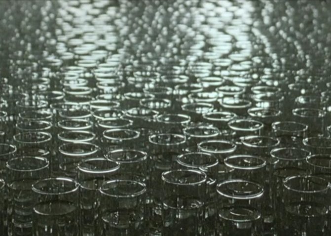 cfydario's tweet image. ritd 2011                      ritd 2020