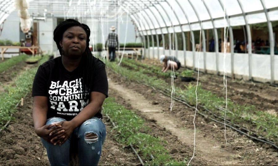 ByBlacks's tweet photo. The  @BCCfarm film “Healing Our Community: Black Creek Community Farms” explores how urban agriculture affects an entire community. @foodwineliberty spoke with them to discuss how farming can be a form of healing for the Black community.

Full article: https://t.co/g9wnPXX9Xy https://t.co/YWNAbiN6kX