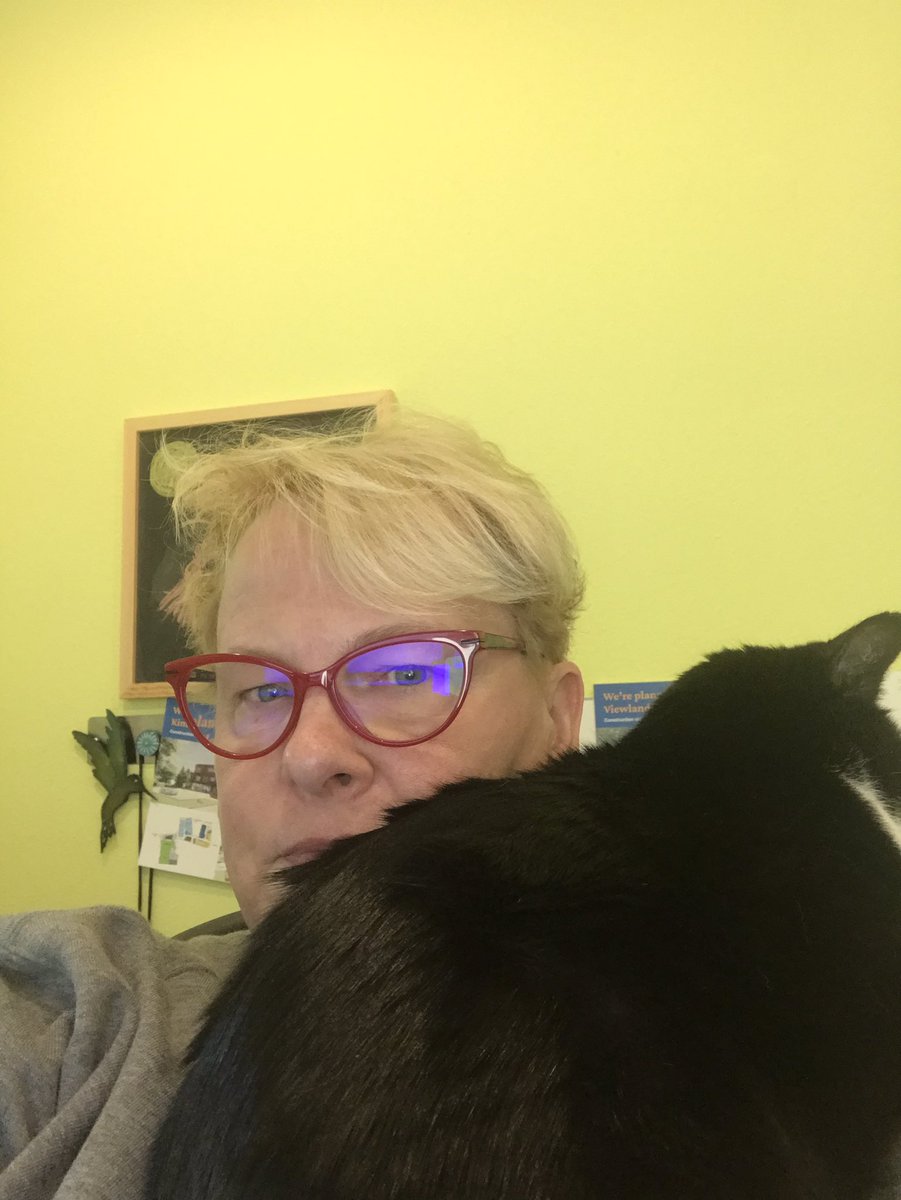 writeasrain's tweet image. This is how I’m working today. Someone is very needy.