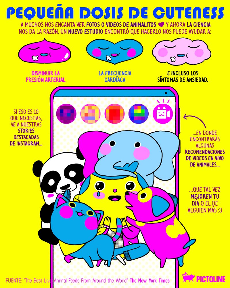 pictoline's tweet photo. ¿Día difícil? 😓
La ciencia lo confirma: ver videos de animalitos puede ayudarte a sentirte mejor 🐶🐱🐼🐘❤️ https://t.co/w6AE2K8SQb