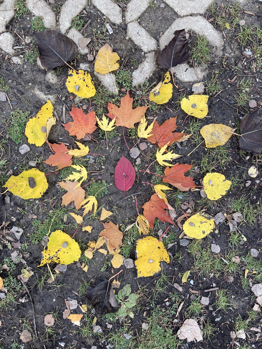 SwanLakeOE's tweet photo. Thoughtful discussions with the grade 7s about whether or not it’s ok to feed bread to the ducks 🦆followed by the creation of absolutely stunning ephemeral art = a phenomenal time @nmpsyrdsb #YRDSBOutside https://t.co/BQuIsUm1rE