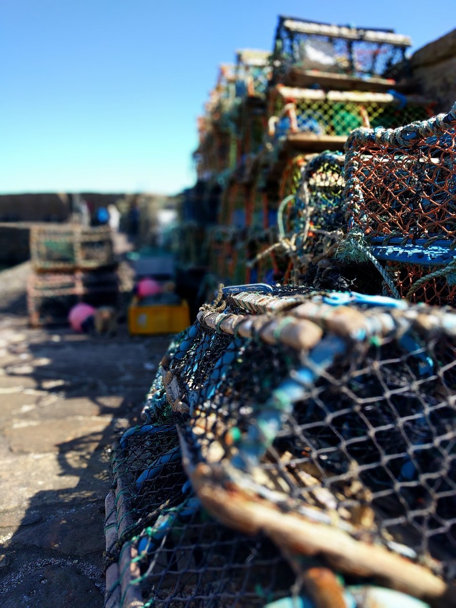 adouglas27's tweet image. Some #creels from Crail harbour @ErlandCooper @SAYaward @LlSTENlNG_PARTY @Tim_Burgess #SAYaward funnily enough @kingcreosote has a song about creels too
