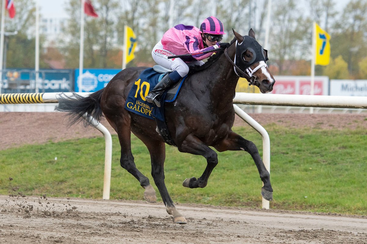 swehorseracing's tweet photo. Images from yesterday's fixture at #jagersro are online here:

https://t.co/rMPlTyAxtP

📷 @galoppbilder

#swedishracing https://t.co/9FjQkojNb5