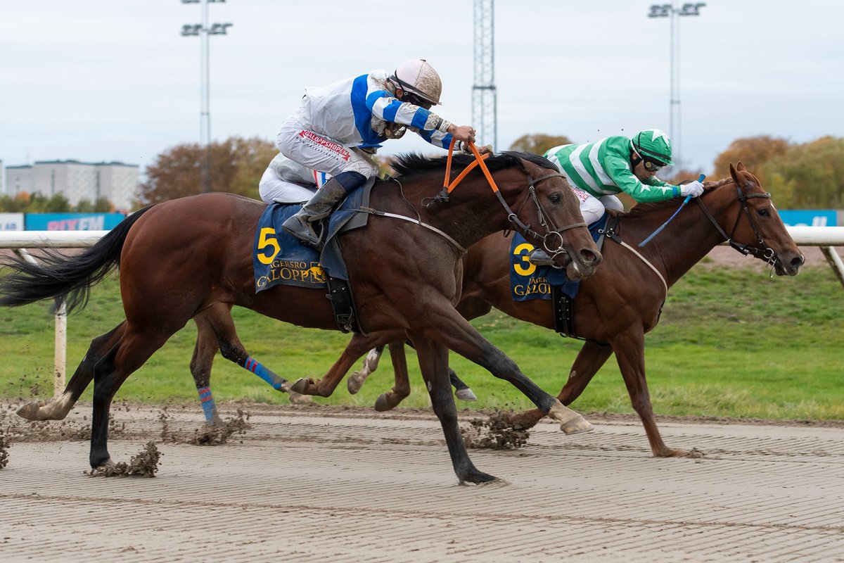 swehorseracing's tweet photo. Images from yesterday's fixture at #jagersro are online here:

https://t.co/rMPlTyAxtP

📷 @galoppbilder

#swedishracing https://t.co/9FjQkojNb5