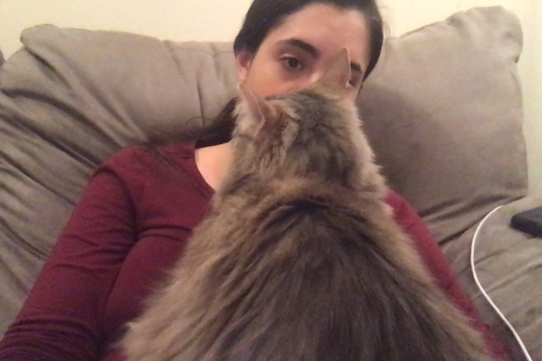 Every time I try to move him to answer my emails, he bites me. The boy demands cuddles. I guess this is how I will be answering my emails and SextP*nther texts