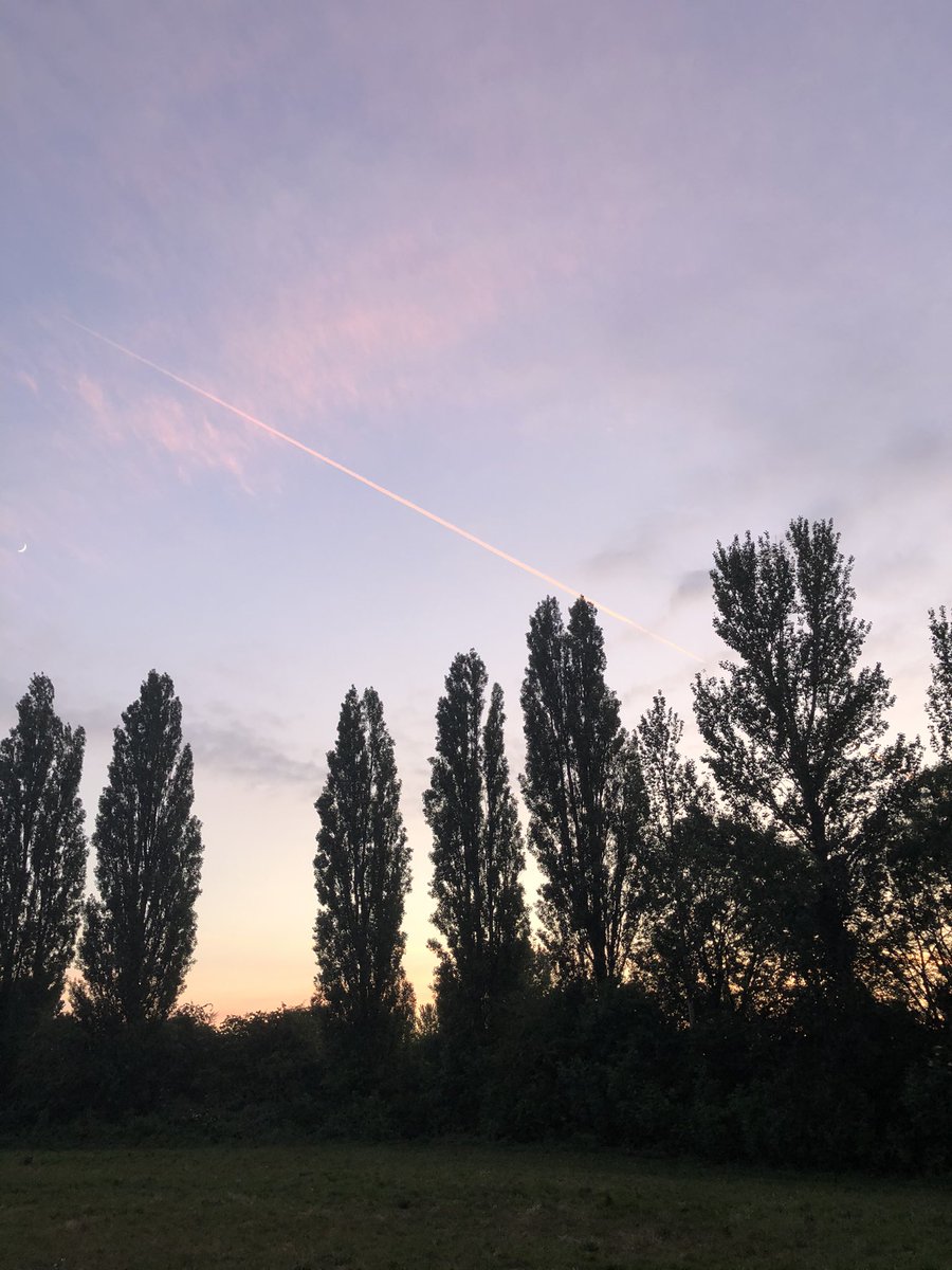 Dayofthemoon_'s tweet photo. ‘still see you’ is out this friday https://t.co/7Umj6nCVvZ