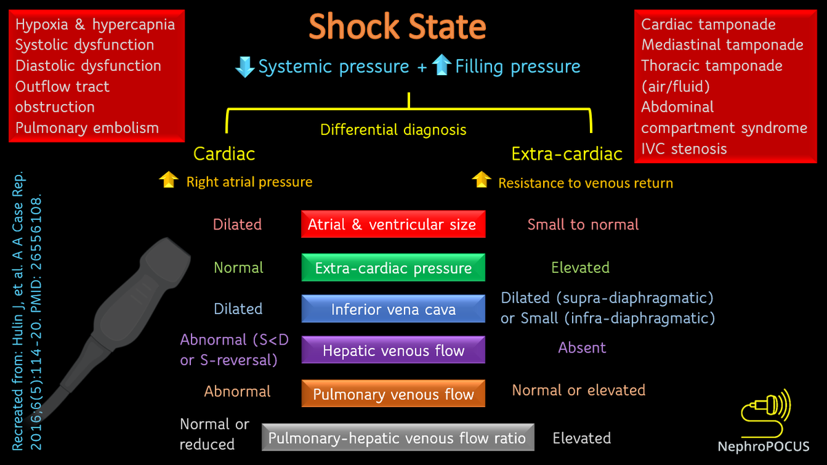 NephroP's tweet photo. Incorporating hepatic + pulmonary vein Doppler #VExUS in #POCUS evaluation of #shock state with elevated systemic filling pressure.
Infographic recreated from the work of Andre Denault &amp; colleagues https://t.co/YXkvvc9XRM
#MedEd #Criticalcare https://t.co/FHBA8l6ESy