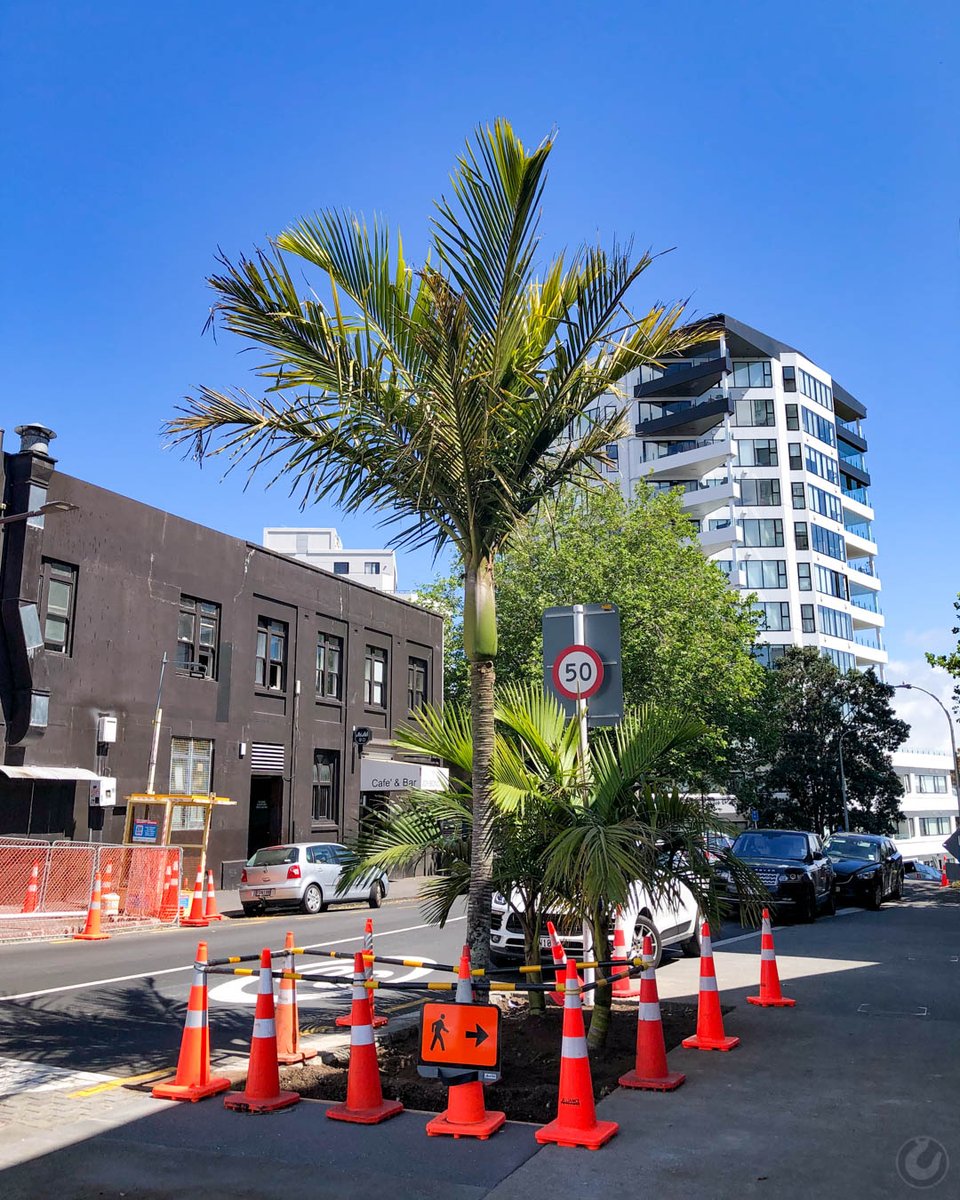 aklconstruct's tweet photo. Karangahape Road Enhancements
#Auckland #Construction
More photos at https://t.co/k26SLLafMo https://t.co/C5UKdjr1XY