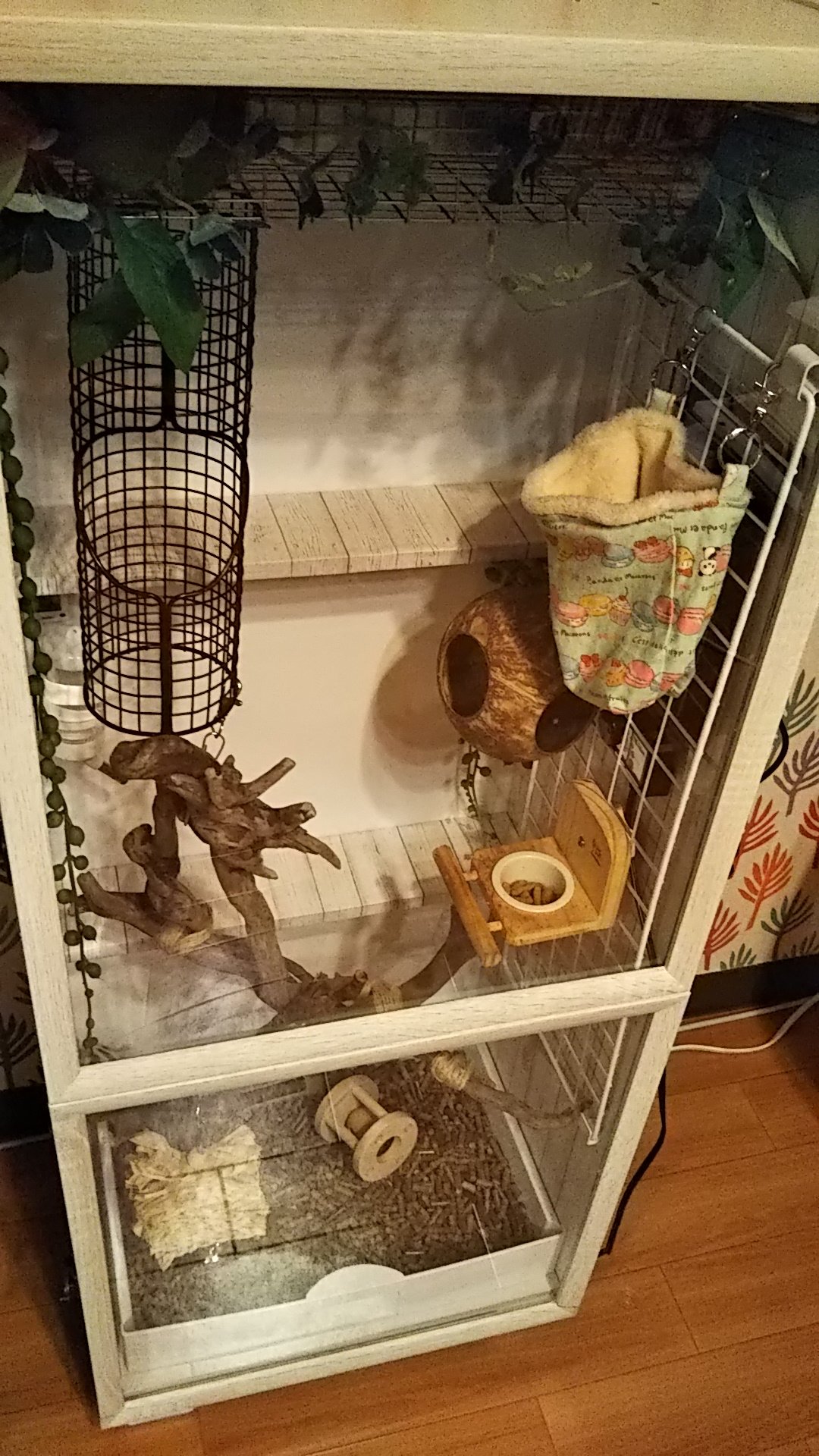 針田 動物と植物 ハリネズミ自作ケージ完成 高さ100センチのカラボをベースに改造してついに 夏の間に終わらせるつもりだったのにもうこんなええっ秋 T Co Nnegbkpg6r Twitter