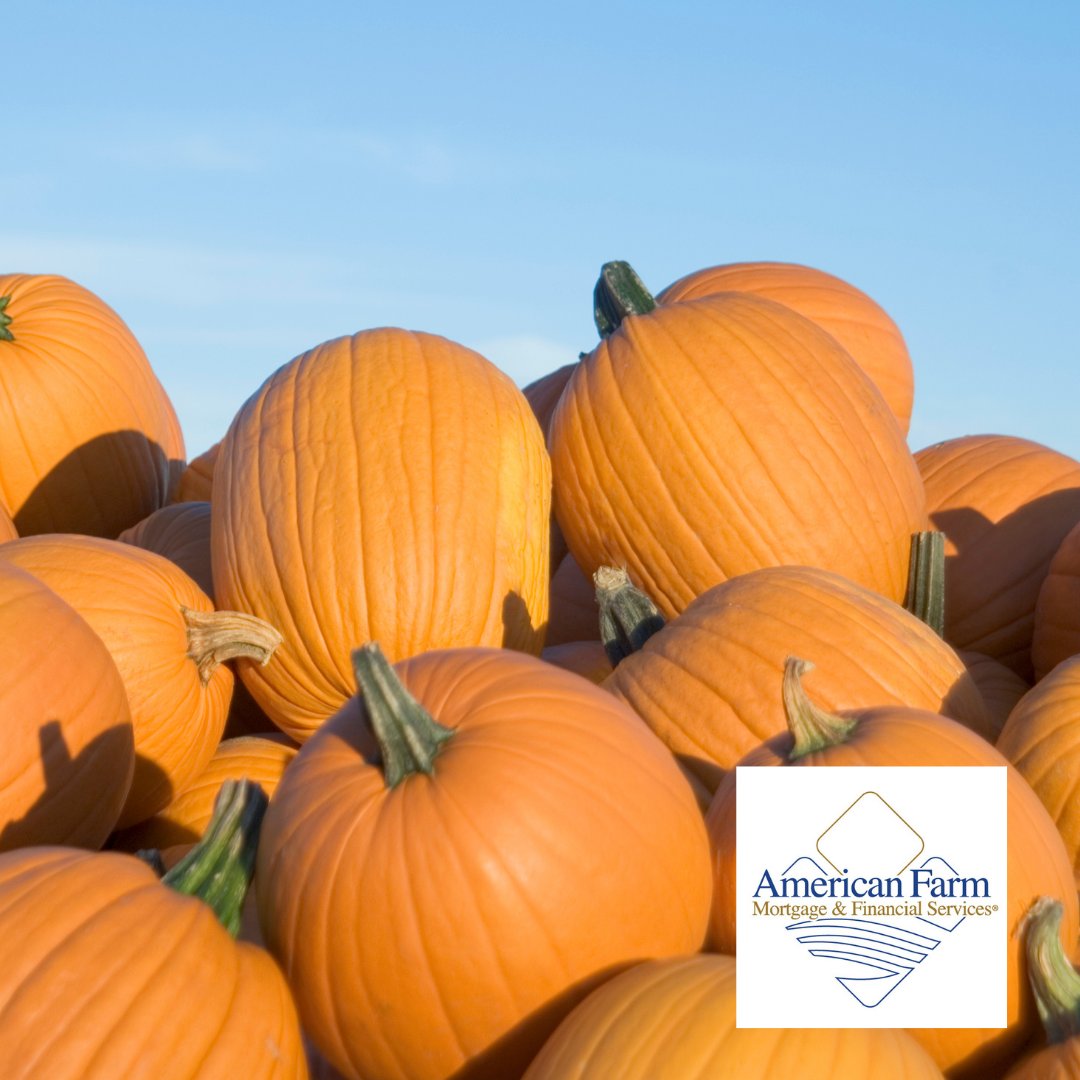 Today is Pumpkin Day. Did you know more than 90 percent of the pumpkins produced in the United States come from Illinois? Have you picked your pumpkin yet this year? #pumpkinday
