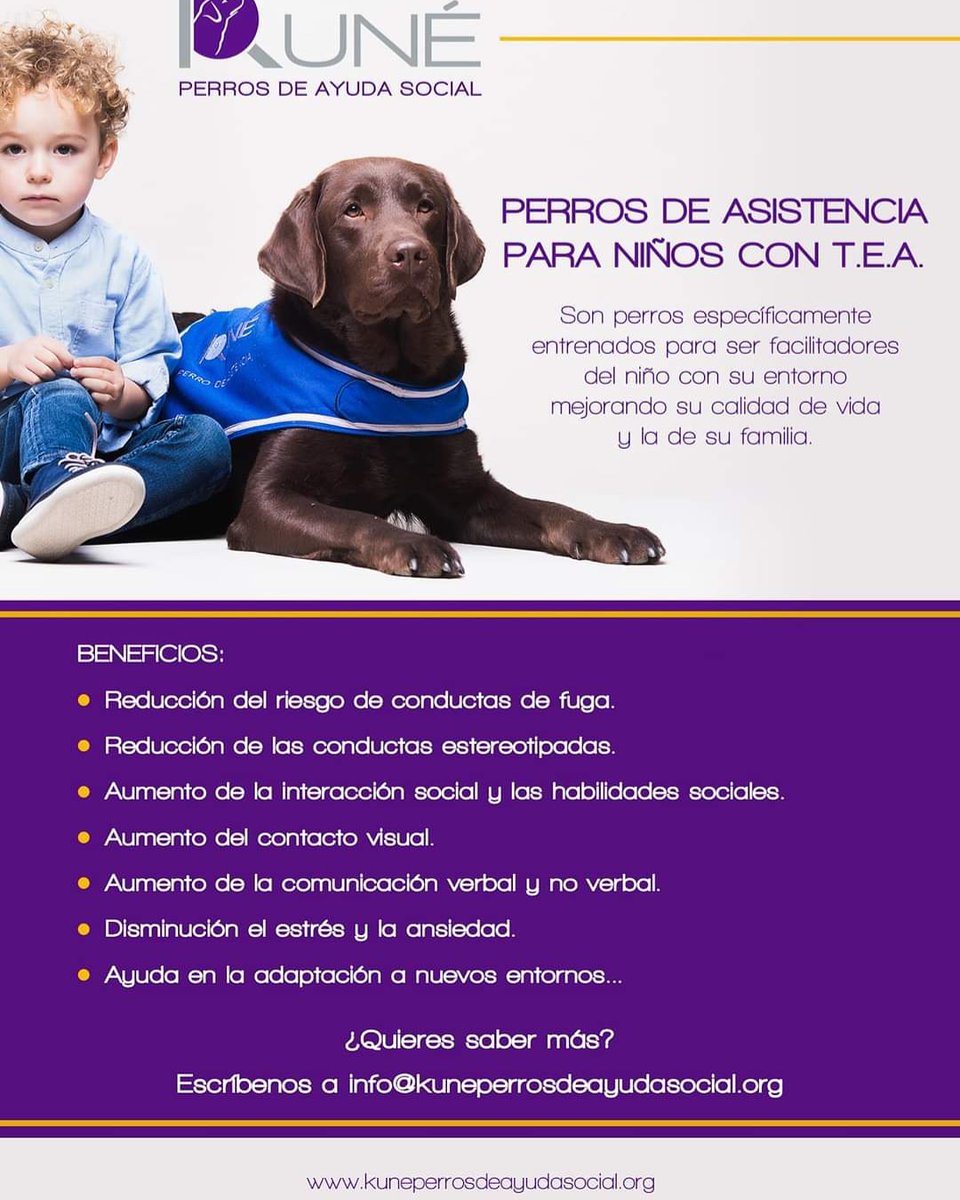 inmareig's tweet photo. ¿Sabes que son los perros de asistencia para niños con TEA (Trastorno del espectro autista) y sus beneficios?
Si estás interesado en saber más, quieres solicitar un perro de la asociación Kuné contacta con nosotros!
info@kuneperrosdeayudasocial.org https://t.co/Sc93J986Es