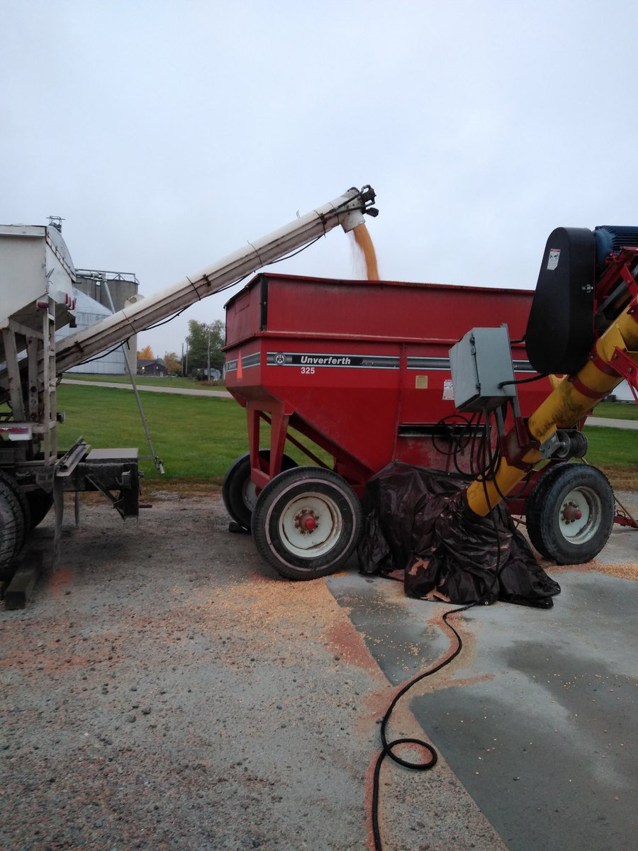 CentralOhioAg's tweet photo. The East barn is getting full on dry corn at #VeronaAg. Thank you to the employees putting in the overtime to keep space for the local farmers. #CentralOhioAg #Harvest2020 #flatstorage https://t.co/SmlYtNAiil