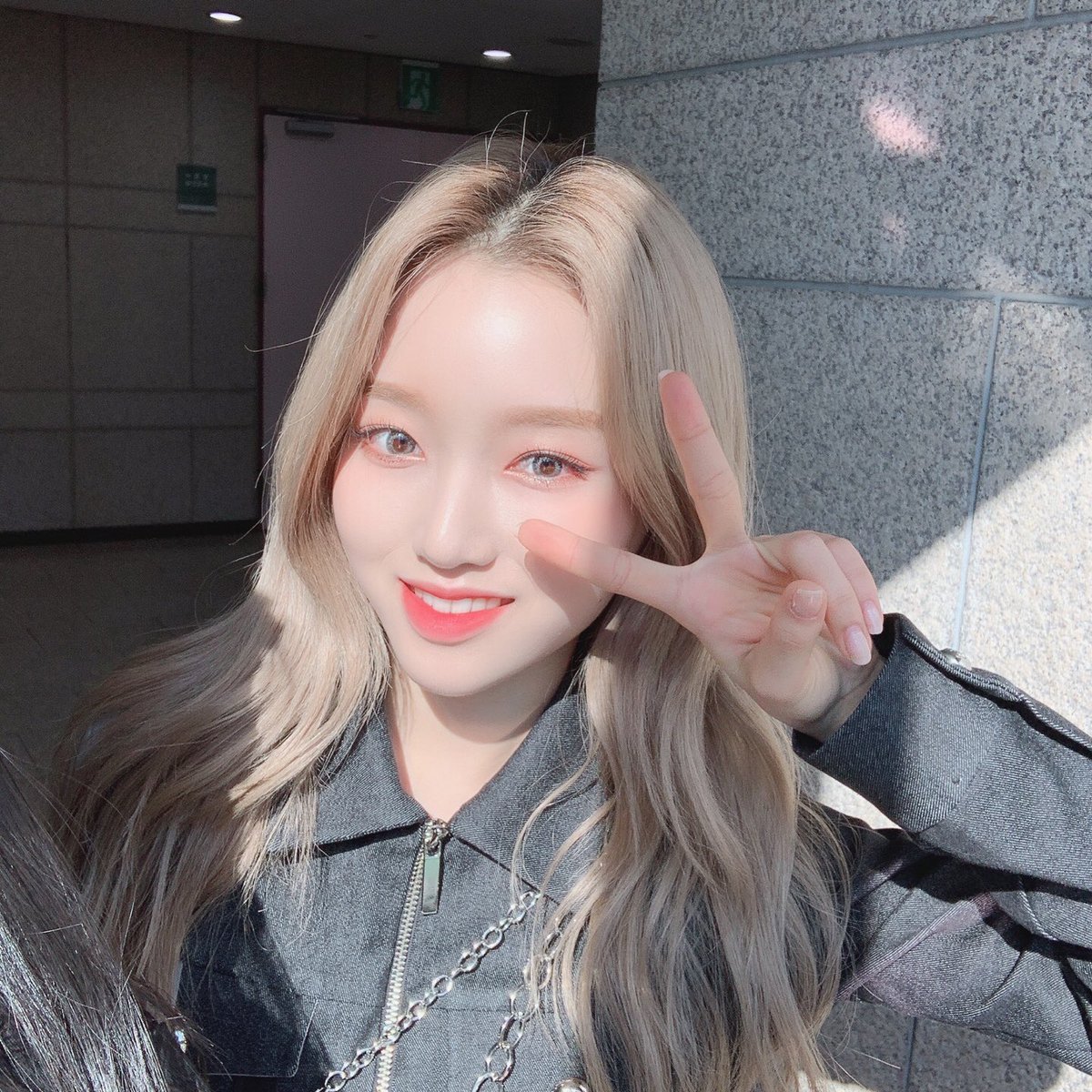 vivi vs gowon