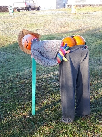 @Xplornet My Halloween display could be described as "over the moon". https://t.co/mFbUacW0Gh