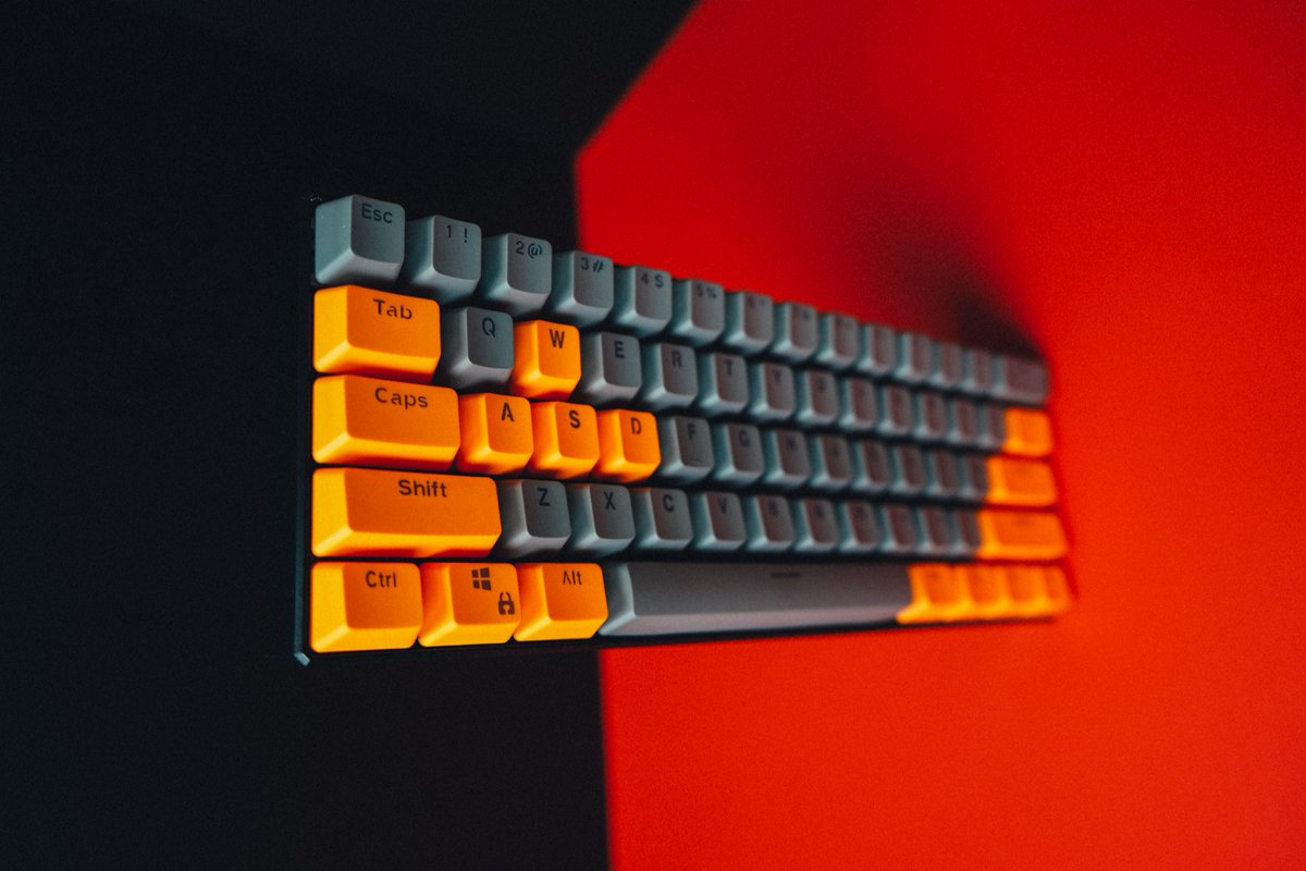 altcustoms's tweet photo. build of the day ✅

https://t.co/n6nbF5zMnl https://t.co/hgc8o7WXKz